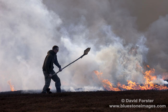 06D-6444 Gamekeeper Controlling Heather Burning in Upper Teesdale County Durham