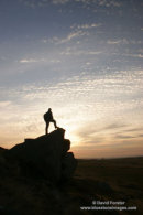 9787 Hill Walker at Sunrise, Goldsborough Crag, Teesdale, County Durham
