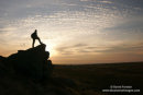 9789 Hill Walker at Sunrise, Goldsborough Crag, Teesdale, County Durham