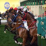 Happy Valley, Hong Kong