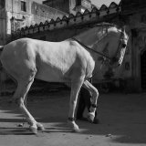 Best Exotic Marigold hotel (really)