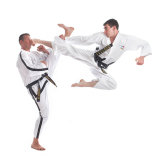 British Tae Kwon Do Club