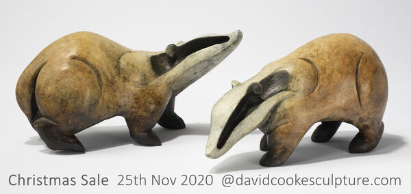 Bronze badgers