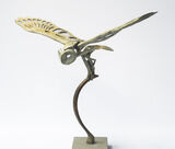 Take Flight