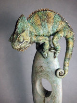 Chameleon