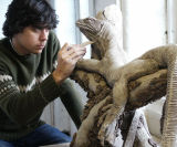 David  making a monitor lizard