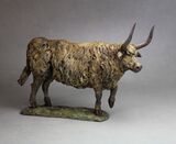 Highland Cow