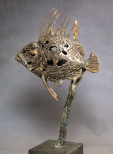 Bronze John Dory