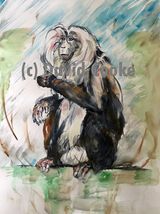 Lion-tailed Macaque - Original watercolour A2