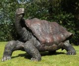 Lonesome George