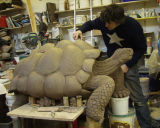David sculpts a Galapagos Tortoise in clay