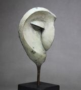 Owl Form