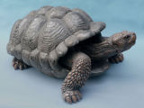 Spur Thighed Tortoise