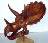 Triceratops