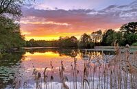 Ladies Pool, Blakedown