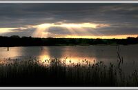 Sunset in the Somerset Levels (2)