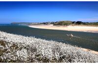 Camel Estuary outside Padstow