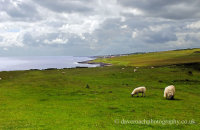 Coast walk -  looking back toward Craster