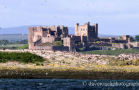 Bamborough Castle