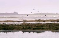 Blakeney Point from Stiffkey Marsh