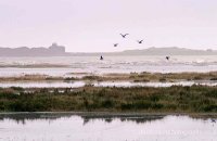 Blakeney Point from Stiffkey Marsh