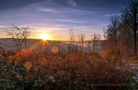 Wyre Forest Sunset (2)