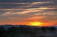 Wyre Forest Sunset (1)