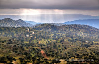 Iberian Lynx territory in the Sierra de Andujar National Park