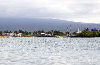 Puerto Villamil, the base for our stay on Isabela. The Sierra Negra volcano can be seen in the background.