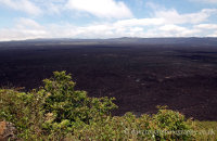 Sierra Negra Volcano (2) Isabela, which last erupted in 2005.
