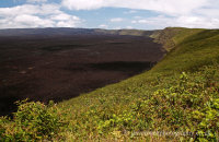 Sierra Negra (3) Edge of the caldera.