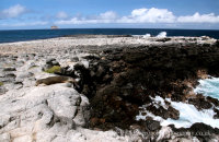 South Plaza (3). Cliffs at the Western end of South Plaza, ideal for nesting seabirds.