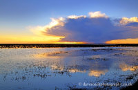Sunset in the Doñana National Park