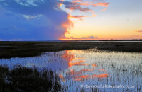 Sunset in the Doñana National Park