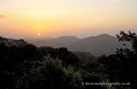 Sunrise at the Canopy Tower