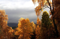 (i) Autumn colours from the park entrance
