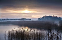 Sunrise in the Somerset levels