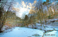 Wyre Forest Pool (HDR)