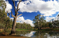 Grahams Wetland Reserve, Werribee, Victoria