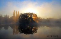 Sunrise in the Brenne National Park, France (1)