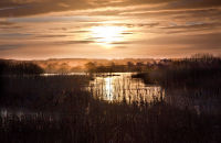 Sunset in the Somerset Levels (1)
