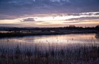 Change of mood after the sun has set (4)