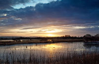 Sunset in the Somerset Levels (3)