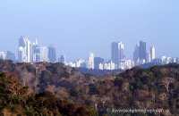 Panama City in the evening light from the Canopy Tower