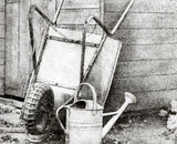 Watering Can Barrow