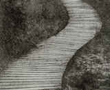 Board Walk