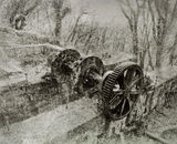 Luxulyan Valley
