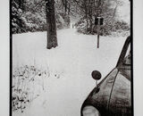 Winter - Walk in the Woods