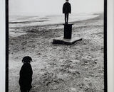 Don’t you dare move!