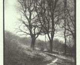 Winter Cunny Clapper Hill
